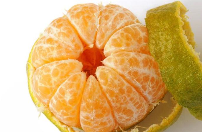 Citrus estate to be set up in Vidarbha like Punjab | पंजाबच्या धर्तीवर आता विदर्भात उभारणार ‘सिट्रस इस्टेट’ Citrus estate to be set up in Vidarbha like Punjab | पंजाबच्या धर्तीवर आता विदर्भात उभारणार ‘सिट्रस इस्टेट’