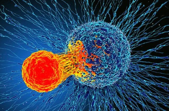 Increase in patients with advanced cancer due to lockdown | लॉकडाऊनमुळे अॅडव्हान्स कॅन्सरच्या रुग्णांत वाढ Increase in patients with advanced cancer due to lockdown | लॉकडाऊनमुळे अॅडव्हान्स कॅन्सरच्या रुग्णांत वाढ