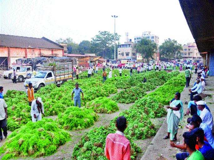 Mathadi Shampa does not have any impact on the market | माथाडी संपाचा मार्केटवर परिणाम नाही Mathadi Shampa does not have any impact on the market | माथाडी संपाचा मार्केटवर परिणाम नाही