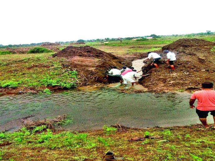 Darsgaon reach canal irritates farmers | दरसगाव पोहोच कालवा फोडल्याने शेतकरी संतप्त Darsgaon reach canal irritates farmers | दरसगाव पोहोच कालवा फोडल्याने शेतकरी संतप्त