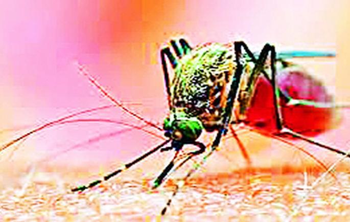 Not because of covid, but because of dengue victims, both hospitals are full | कोविडमुळे नव्हे, तर डेंग्यू बाधितांमुळे दोन्ही रुग्णालयं होताहेत फुल्ल Not because of covid, but because of dengue victims, both hospitals are full | कोविडमुळे नव्हे, तर डेंग्यू बाधितांमुळे दोन्ही रुग्णालयं होताहेत फुल्ल