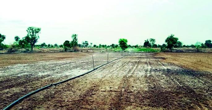 farmers struggle to save the crop | मृग कोरडा, पीक वाचविण्यासाठी शेतकऱ्यांची धडपड