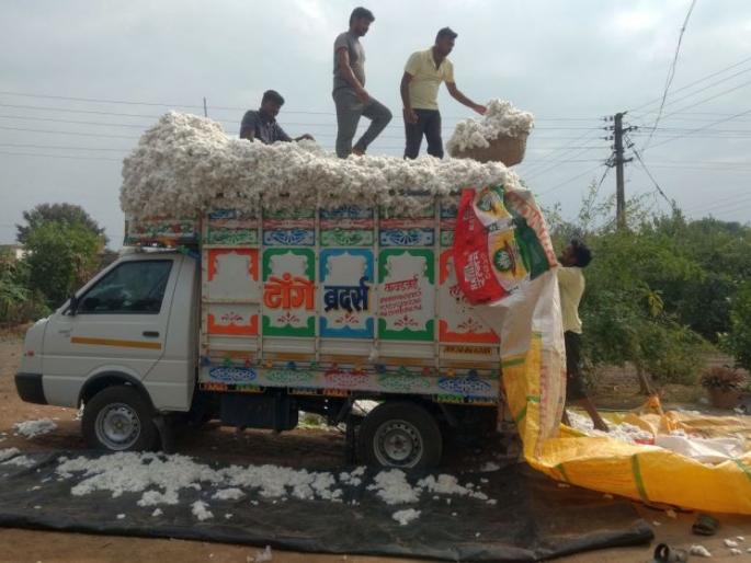 Moisture hinders CCI's cotton procurement | सीसीआयच्या कापूस खरेदीला माॅयश्चरचा अडथळा