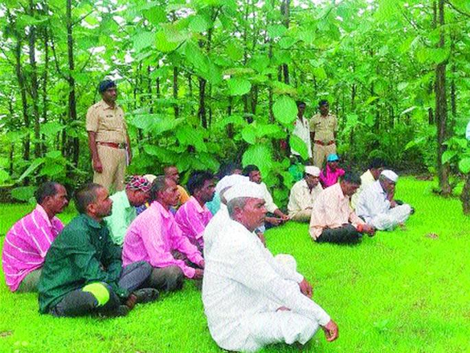  Twenty tribal villages in the district on the road to forestry | जिल्ह्यातील वीस आदिवासी गावे वनसंवर्धनाच्या वाटेवर