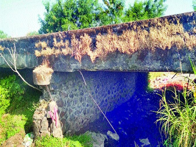 Due to the collapse of the bridge on the valley road | दरी रस्त्यावरील पूल कोसळण्याची भीती Due to the collapse of the bridge on the valley road | दरी रस्त्यावरील पूल कोसळण्याची भीती