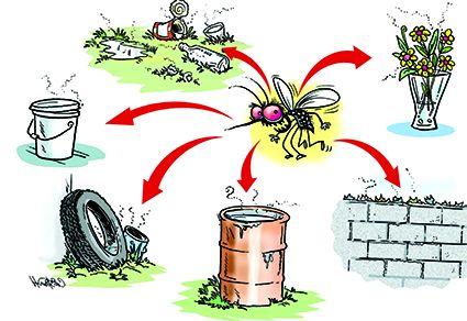 If the mosquito found, Nagpur municipal corporation will be fined 500 rupees | डास दिसल्यास नागपूर महापालिका करणार ५०० रुपयांचा दंड If the mosquito found, Nagpur municipal corporation will be fined 500 rupees | डास दिसल्यास नागपूर महापालिका करणार ५०० रुपयांचा दंड