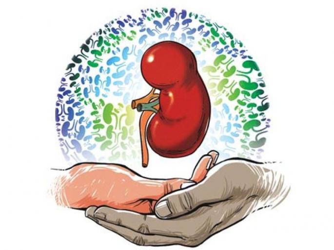 Get the license of a corporation; Nagpur RTO initiative | वाहन परवाना मिळविताना करा अवयवदानाचा संकल्प; नागपूर आरटीओ कार्यालयाचा पुढाकार Get the license of a corporation; Nagpur RTO initiative | वाहन परवाना मिळविताना करा अवयवदानाचा संकल्प; नागपूर आरटीओ कार्यालयाचा पुढाकार