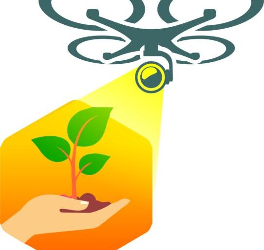 Drone eye on tree plantation in State | राज्यातील वृक्षारोपणावर राहणार ड्रोनची नजर