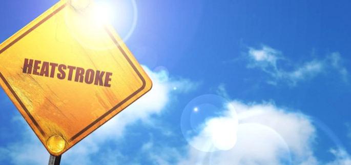 10 people died in heat stroke | उष्माघाताने नागपुरात १० जणांचा मृत्यू? 10 people died in heat stroke | उष्माघाताने नागपुरात १० जणांचा मृत्यू?