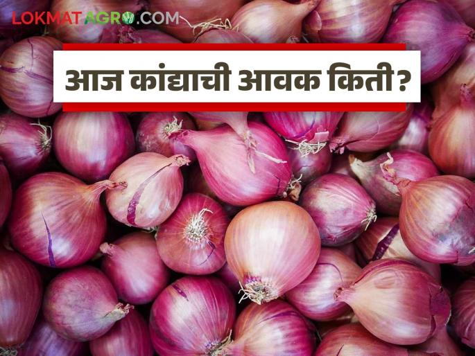 latest News Kanda Bazaar Bhav Summer onion prices improve in Pimpalgaon and Akole markets, | Kanda Bajar Bhav : पिंपळगाव आणि अकोले बाजारात उन्हाळ कांदा दरात सुधारणा, वाचा सविस्तर latest News Kanda Bazaar Bhav Summer onion prices improve in Pimpalgaon and Akole markets, | Kanda Bajar Bhav : पिंपळगाव आणि अकोले बाजारात उन्हाळ कांदा दरात सुधारणा, वाचा सविस्तर