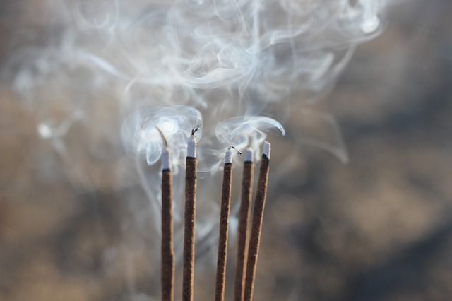 The struggle for bamboo production for the aroma of incense | उदबत्तीच्या सुगंधासाठी बांबू उत्पादनाची धडपड The struggle for bamboo production for the aroma of incense | उदबत्तीच्या सुगंधासाठी बांबू उत्पादनाची धडपड