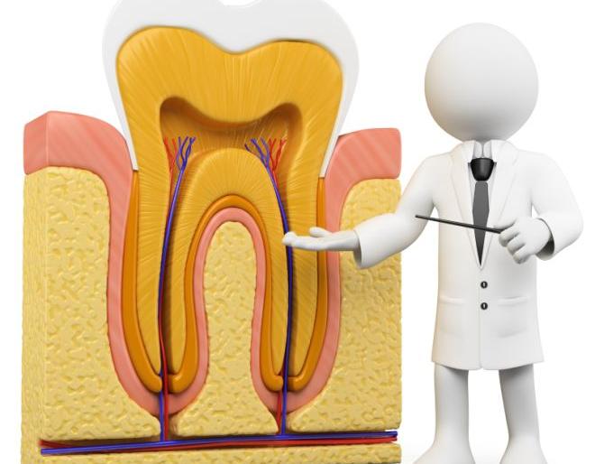 New search in the root canal | रुट कॅनलमध्ये नवा शोध New search in the root canal | रुट कॅनलमध्ये नवा शोध