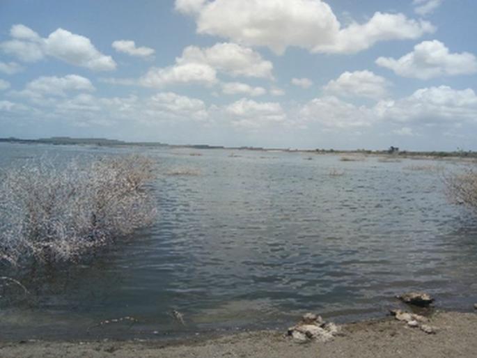 In Amravati Medium Project | अमरावती मध्यम प्रकल्पात In Amravati Medium Project | अमरावती मध्यम प्रकल्पात