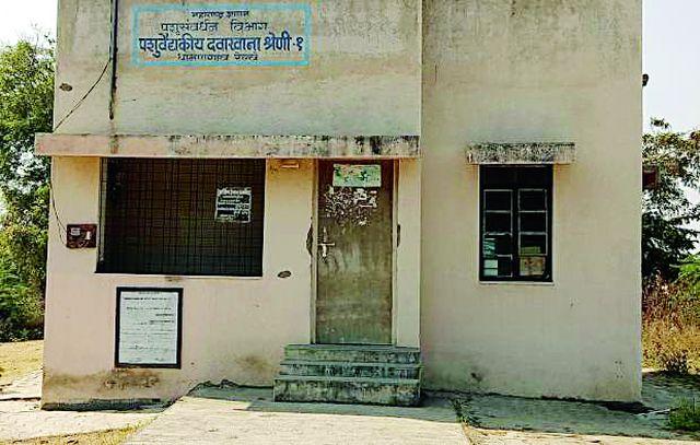 50 thousand livestock danger | ५० हजार पशुधन धोक्यात 50 thousand livestock danger | ५० हजार पशुधन धोक्यात