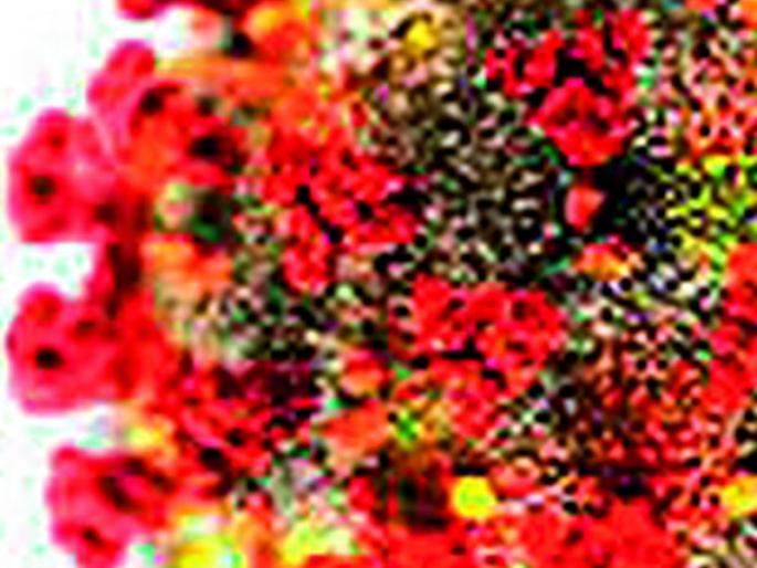 Corona; 16,000 crosses | कोरोना; १६,००० क्रॉस Corona; 16,000 crosses | कोरोना; १६,००० क्रॉस