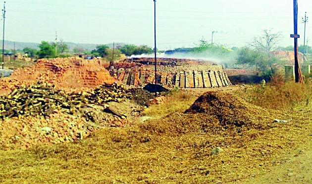 Kondeshwar Veetbhattya | कोंडेश्वर वीटभट्ट्यांच्या विळख्यात