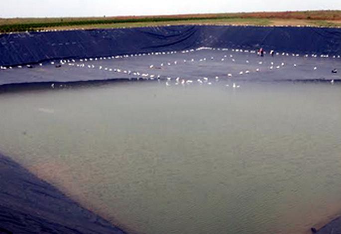 In Beed district, the number of farm ponds increased | बीड जिल्ह्यात ‘मागेल त्याला शेततळे’ योजनेचा लक्षांक वाढला