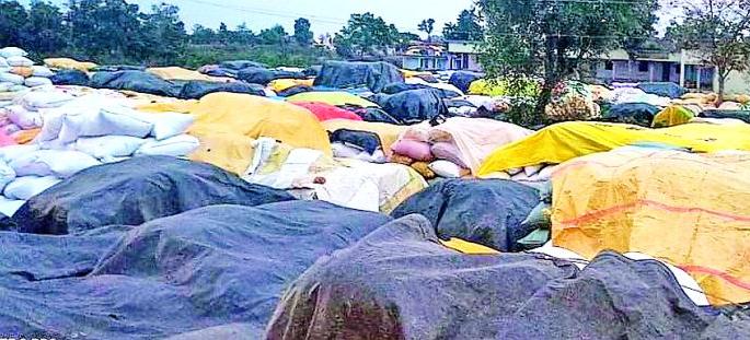 Wet the cloth with grains in unseasonal rains | अवकाळी पावसात धानासह कडपा ओला