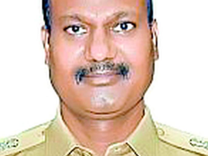 Celebrate Holi not by lighting but by worshiping trees | होळी पेटवून नव्हे वृक्ष पूजनाने साजरी करा Celebrate Holi not by lighting but by worshiping trees | होळी पेटवून नव्हे वृक्ष पूजनाने साजरी करा