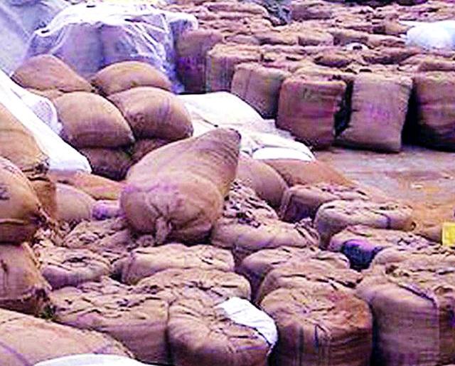 Paddy growers plunder farmers' merchants | धान उत्पादक शेतकऱ्यांची व्यापाऱ्यांकडून लूट