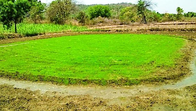 Waiting for satisfactory rain in the corridor | धानाच्या कोठारात समाधानकारक पावसाची प्रतीक्षा