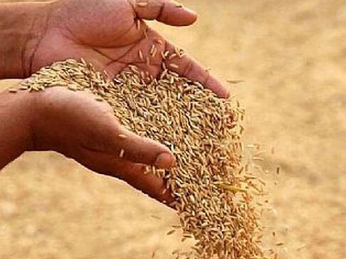 Dhanas denied bail, when will you get 'DBT' now? | धानाला बाेनस नाकारला, आता ‘डीबीटी’ कधी मिळणार? Dhanas denied bail, when will you get 'DBT' now? | धानाला बाेनस नाकारला, आता ‘डीबीटी’ कधी मिळणार?