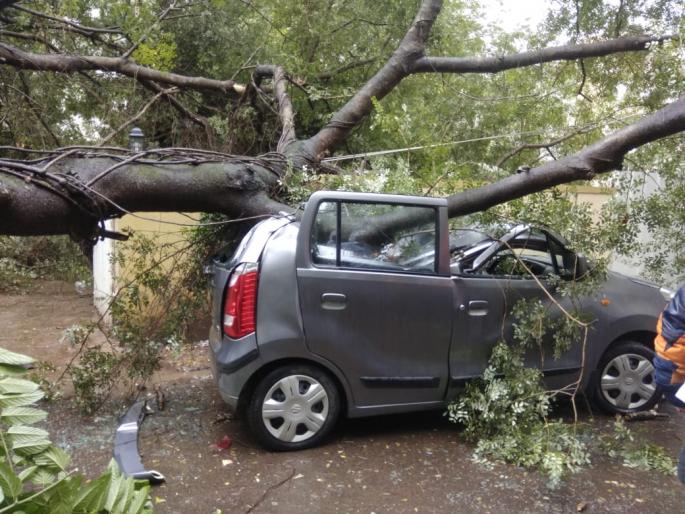The tree fell on a vertical car in the seventies | साताऱ्यात उभ्या कारवर झाड कोसळले The tree fell on a vertical car in the seventies | साताऱ्यात उभ्या कारवर झाड कोसळले