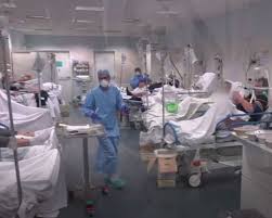 Demand for nutritious food for corona | कोरोनाबधितांना पोषक आहार देण्याची मागणी Demand for nutritious food for corona | कोरोनाबधितांना पोषक आहार देण्याची मागणी