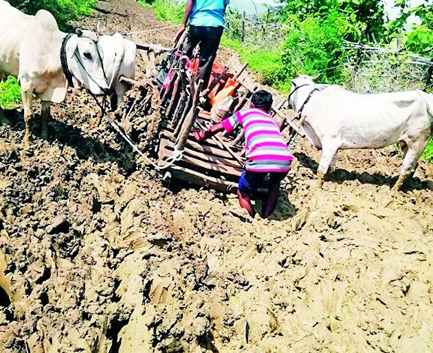 Due to the paved roads, the road from the mud to the fields | पांदण रस्त्यांअभावी चिखलातून शेतीची वाट