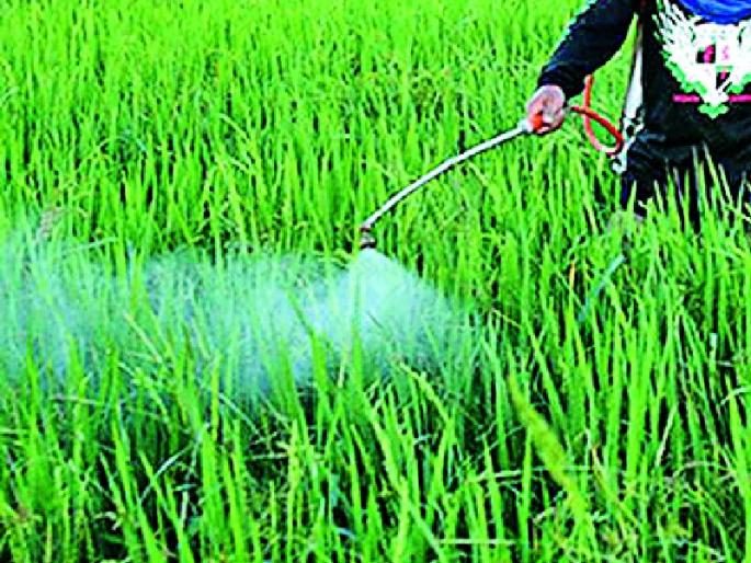 Sale of banned insecticides | बंदी असलेल्या कीटकनाशकांची विक्री Sale of banned insecticides | बंदी असलेल्या कीटकनाशकांची विक्री