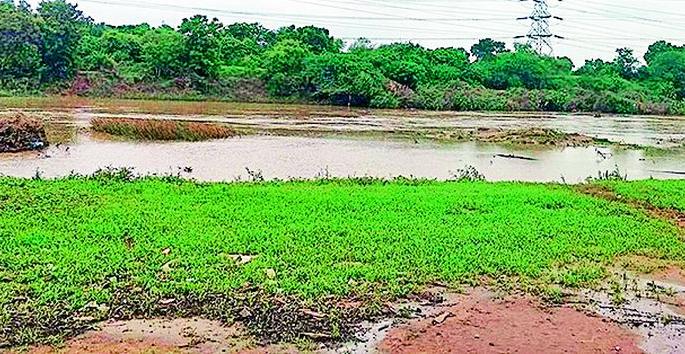 Re-verification of the red-blue line of the Irai River | इरई नदीच्या लाल-निळ्या रेषेची नव्याने पडताळणी Re-verification of the red-blue line of the Irai River | इरई नदीच्या लाल-निळ्या रेषेची नव्याने पडताळणी