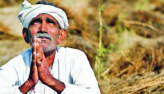The victim's struggle for loan | कर्जासाठी बळीराजाची धडपड The victim's struggle for loan | कर्जासाठी बळीराजाची धडपड