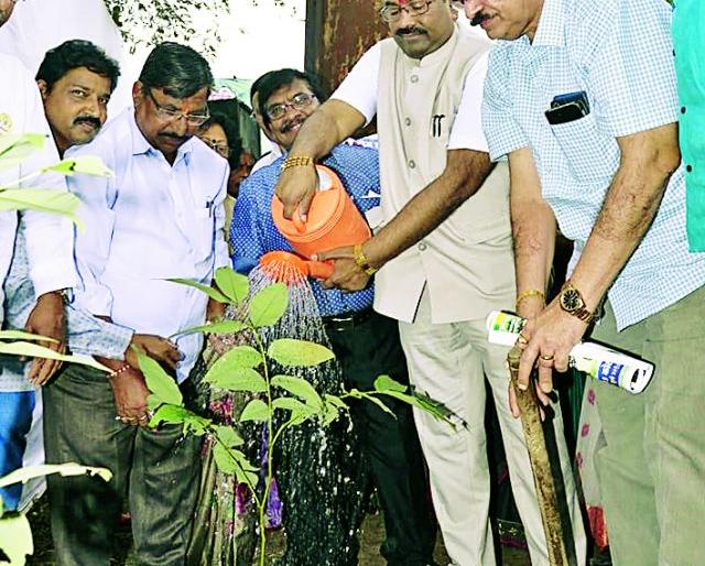 The tree was taken by trees | वृक्षलागवडीची जगाने घेतली नोंद The tree was taken by trees | वृक्षलागवडीची जगाने घेतली नोंद