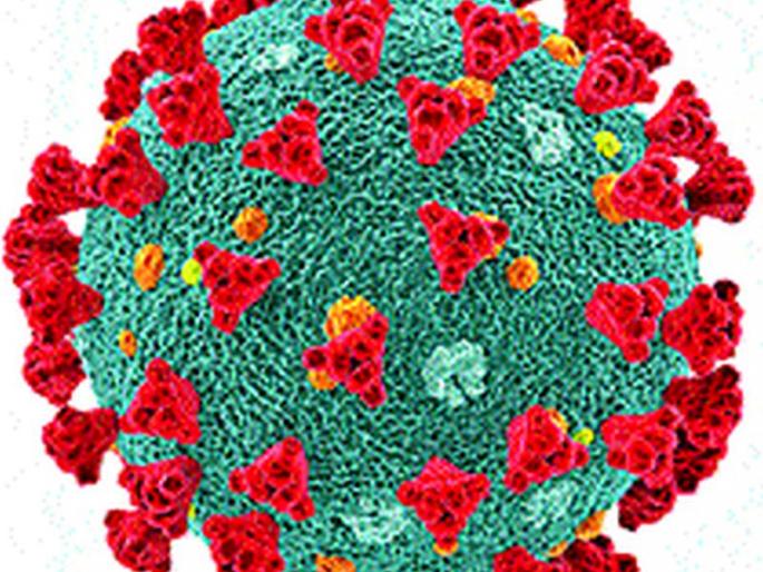 Muktainagar taluka to be kept completely closed for three days | मुक्ताईनगर तालुका तीन दिवस ठेवणार पूर्णपणे बंद Muktainagar taluka to be kept completely closed for three days | मुक्ताईनगर तालुका तीन दिवस ठेवणार पूर्णपणे बंद