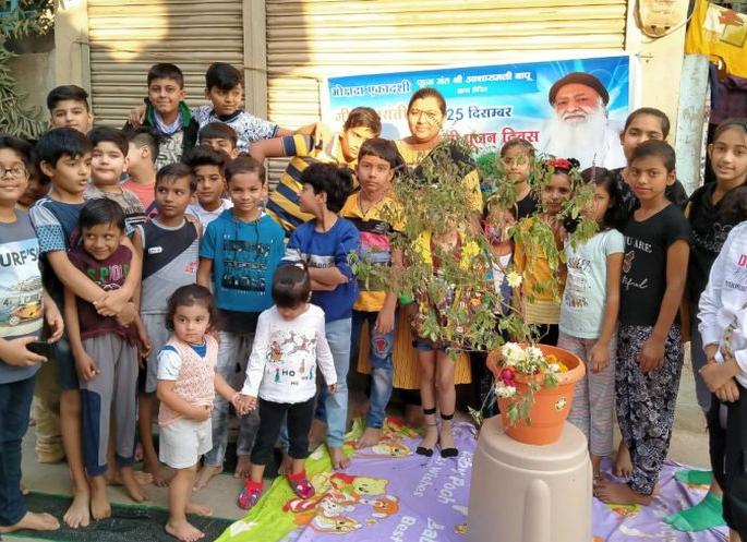 Tulsi Pujan fortnight in Dhule | धुळ्यात तुळशी पूजन पंधरवडा