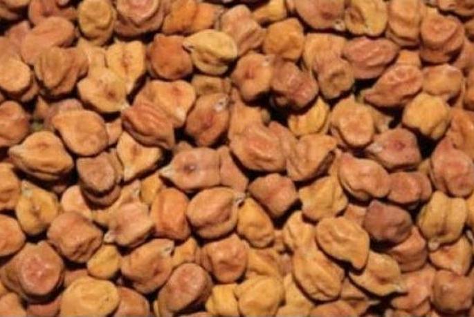 10 crore rupees of the farmers of Dhule district are tired of the government | धुळे जिल्ह्यातील शेतकºयांचे हरभºयाचे १० कोटी रूपये शासनाकडे थकले