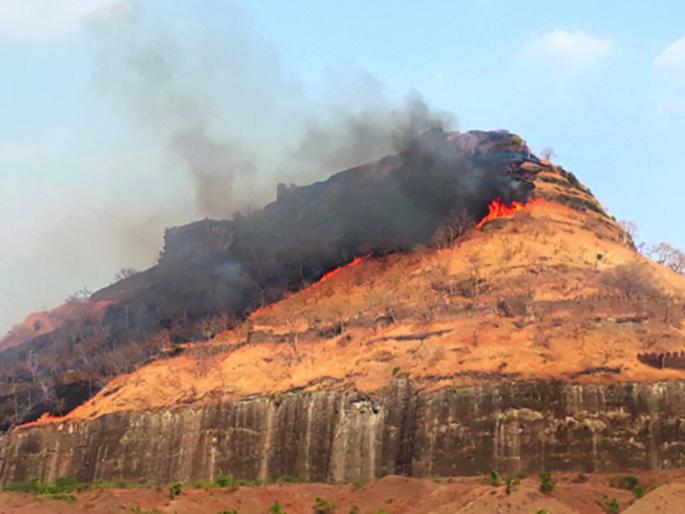A fire in the historic Daulatabad fort | ऐतिहासिक दौलताबाद किल्ल्याला आग A fire in the historic Daulatabad fort | ऐतिहासिक दौलताबाद किल्ल्याला आग