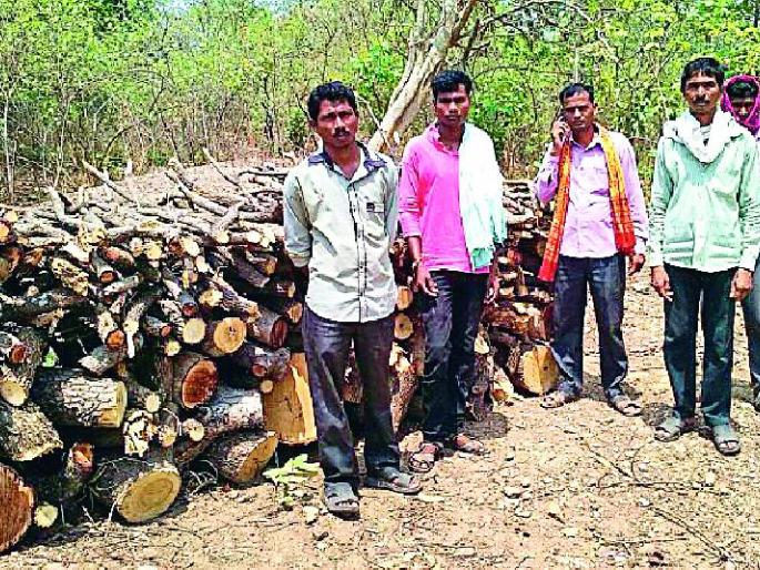 The villagers stopped trees | ग्रामस्थांनी थांबविली वृक्षतोड The villagers stopped trees | ग्रामस्थांनी थांबविली वृक्षतोड