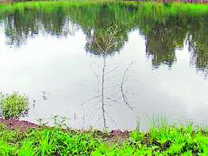 5 percent of the expected rainfall | अपेक्षित प्रमाणाच्या ६३ टक्के पाऊस 5 percent of the expected rainfall | अपेक्षित प्रमाणाच्या ६३ टक्के पाऊस