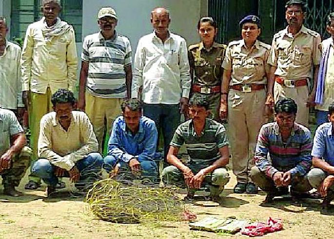 Six hunters arrested | सहा शिकाऱ्यांना अटक