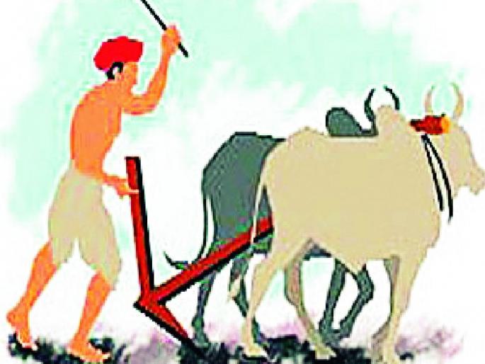 3,000 farmers await respect fund | ४१ हजार शेतकऱ्यांना सन्मान निधीची प्रतीक्षा 3,000 farmers await respect fund | ४१ हजार शेतकऱ्यांना सन्मान निधीची प्रतीक्षा