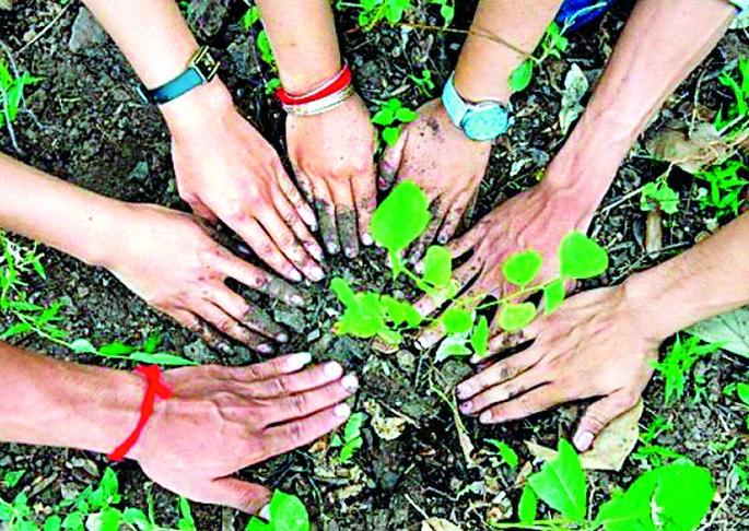 Target of planting eight lakh trees in the taluka | तालुक्यात सव्वा आठ लाख वृक्ष लागवडीचे लक्ष्य Target of planting eight lakh trees in the taluka | तालुक्यात सव्वा आठ लाख वृक्ष लागवडीचे लक्ष्य