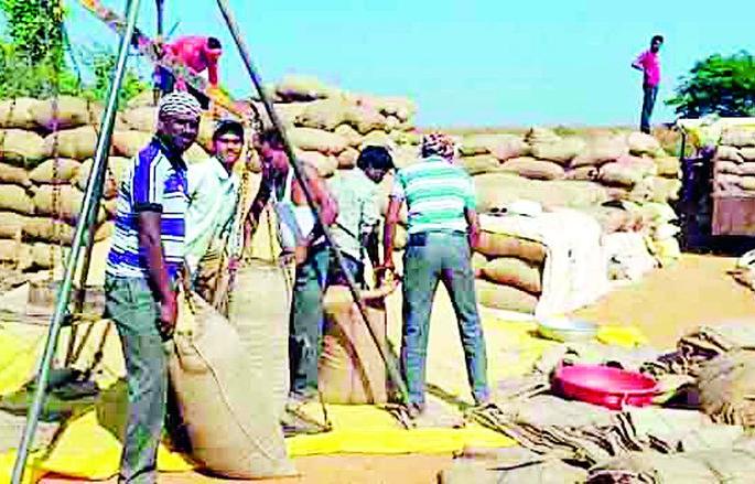 13 thousand 640 pieces of corpse lift from the godown | गोदामातून १३ हजार ६४० कट्टे धानाची उचल 13 thousand 640 pieces of corpse lift from the godown | गोदामातून १३ हजार ६४० कट्टे धानाची उचल