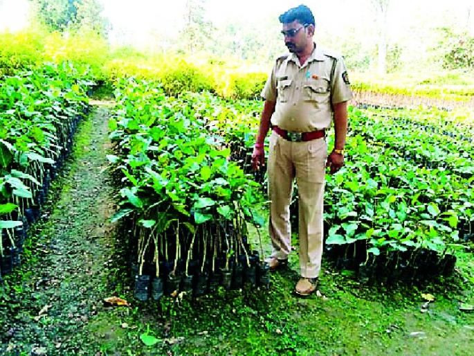 Dedicated to my life for the enrichment of the forest | वनाच्या संर्वधनासाठी माझे आयुष्य समर्पित
