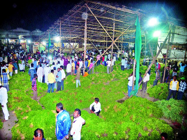 Cottimburi Matimol | कोथिंबीर मातीमोल Cottimburi Matimol | कोथिंबीर मातीमोल