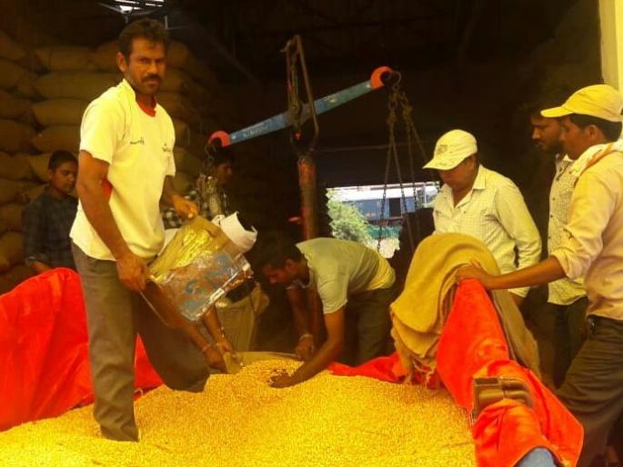 Government resumes corn procurement | सरकारी मका खरेदी पुन्हा सुरू
