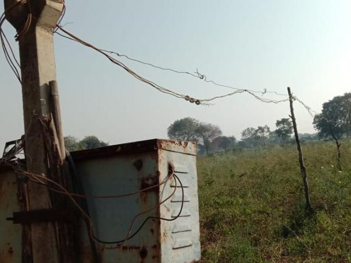 Electricity derived from wood due to poles | पोल अभावी लाकडांद्वारे घेतली वीज Electricity derived from wood due to poles | पोल अभावी लाकडांद्वारे घेतली वीज