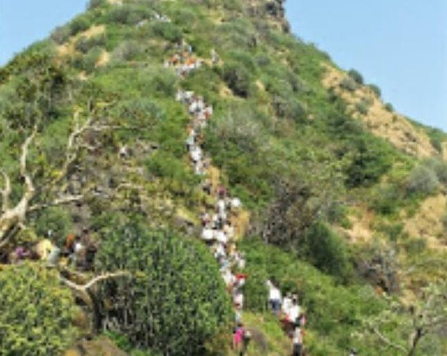 Diwali is not a festive trip at Estamba! | अस्तंबा येथील उत्सव यात्रा नव्हे दिवाळीच! Diwali is not a festive trip at Estamba! | अस्तंबा येथील उत्सव यात्रा नव्हे दिवाळीच!