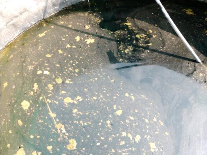 Contaminated water supply raised health issues | दुषित पाणी पुरवठ्यामुळे उभा राहिला आरोग्याचा प्रश्न Contaminated water supply raised health issues | दुषित पाणी पुरवठ्यामुळे उभा राहिला आरोग्याचा प्रश्न