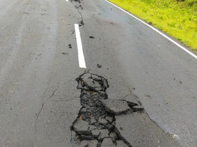 Lightning struck near the sail | पाल जवळ पडली वीज Lightning struck near the sail | पाल जवळ पडली वीज